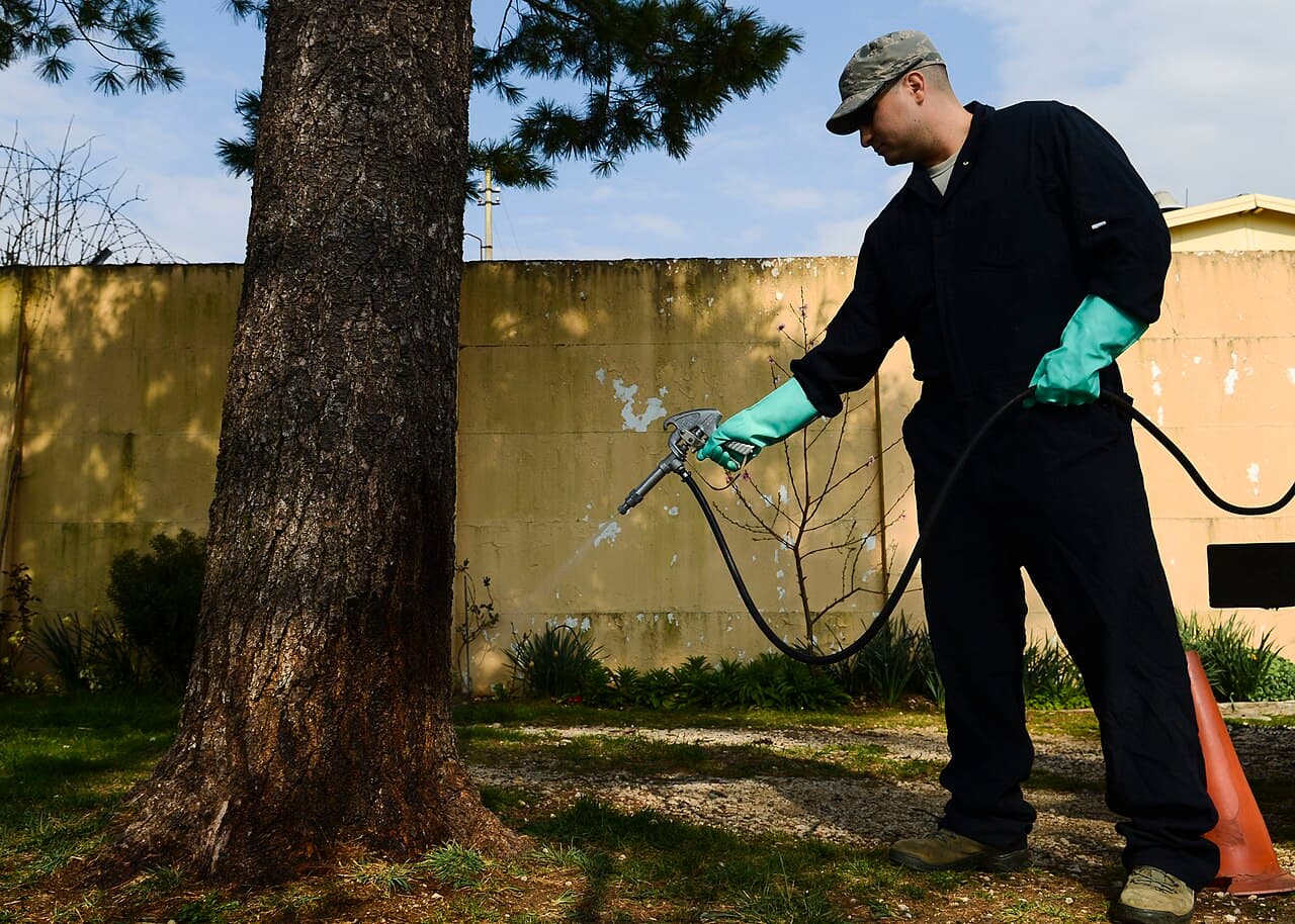 Technician in gloves spraying treatment along a yard wall